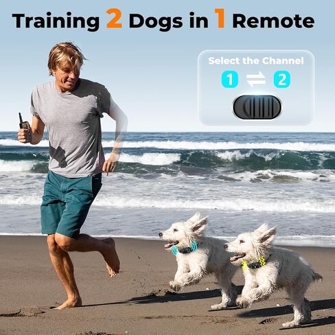 AI Dog Shock Collar 2 Dogs (10-120Lbs) - 3300FT Dog Training Collar with Remote, IPX7 Waterproof Collar with Beep, Vibration, Safe Shock for Large Medium Small Dogs, Keypad Lock and Flashing Light in Kuwait