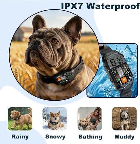 GPS Wireless Dog Fence System 2 in 1 Circular Rectangular Boundary 49-6500ft 3 Training Modes Magnetic Charging Waterproof No Subscription Dog Collar for All Dogs (Black) in Kuwait
