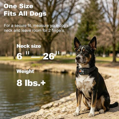 GPS Wireless Dog Fence System 2 in 1 Circular Rectangular Boundary 49-6500ft 3 Training Modes Magnetic Charging Waterproof No Subscription Dog Collar for All Dogs (Black) in Kuwait