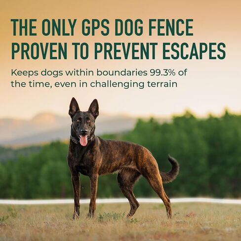SpotOn GPS Dog Collar Nova Edition، سياج GPS لاسلكي، حدود يتم التحكم فيها من خلال التطبيق، لا يلزم الاشتراك in Kuwait