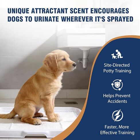 Potty Training Spray for Dogs, Go Here Dog Potty Training Spray & Dog Pee Spray, Puppy Potty Training Aid for Housebreaking, Natural Indoor & Outdoor Use, 5.07 Fl OZ in Kuwait