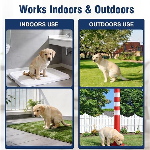 Potty Training Spray for Dogs, Go Here Dog Potty Training Spray & Dog Pee Spray, Puppy Potty Training Aid for Housebreaking, Natural Indoor & Outdoor Use, 5.07 Fl OZ in Kuwait