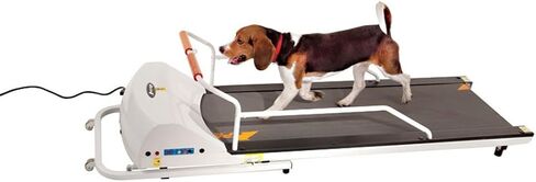 PetRun PR720F Dog Treadmill Indoor Exercise/Fitness Kit in Kuwait