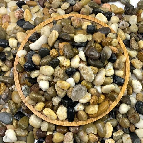 FANTIAN 5 lbs Aquarium Gravel, Pea Gravel for Fish Tank,1/4 Inch Decorative River Rocks for Aquarium Succulent Vase Plant Soil Cover and Outdoor Landscaping in Kuwait