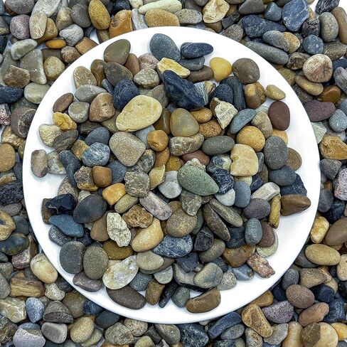 SIDONG 5LB Natural Aquarium Gravel, Small River Rocks for Fish Tank, Garden & Vase Decor - 1/16 Inch Pea Gravel, 2-4mm Polished Stones for Landscaping, Potted Plants, Terrarium in Kuwait