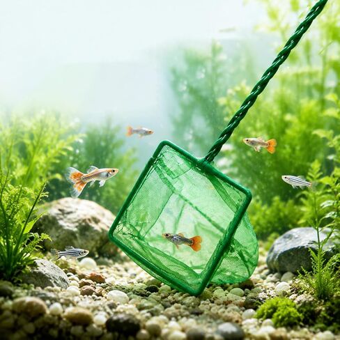 2 Pack Aquarium Fish Net, 4 Inch Fine Mesh Fish Tank Net with Durable Braided Handle, Small Net for Fish, Shrimp, Debris Cleaning in Aquarium, Pond & Pool in Kuwait