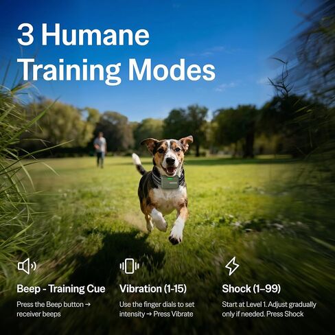 SafeShock (Latest Version) - Dog Shock Collar with Remote Control, 4500FT Range Shock Collar for Dogs & Training Collar, Waterproof, Beep & Vibration First, Rechargeable for Small Medium Large Dogs in Kuwait