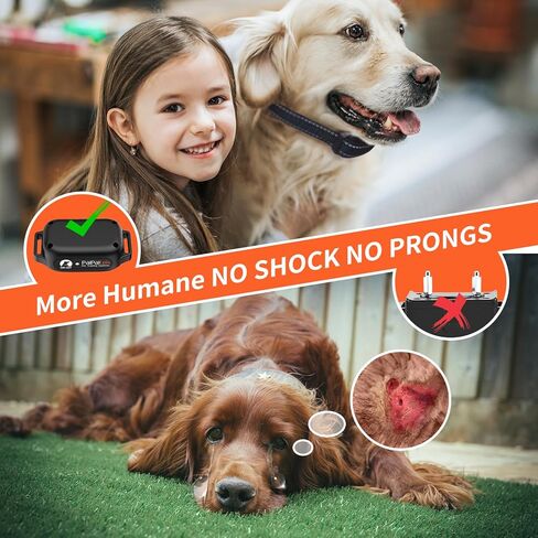 No Shock Dog Training Collar with Remote 3300ft Range, Strong Vibrating Dog Collar Beep and Vibrate Only, Waterproof & Rechargeable Vibration Collar for Small Medium Large Dogs - No Prongs in Kuwait