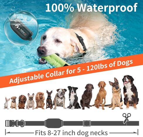 No Shock Dog Training Collar with Remote 3300ft Range, Strong Vibrating Dog Collar Beep and Vibrate Only, Waterproof & Rechargeable Vibration Collar for Small Medium Large Dogs - No Prongs in Kuwait