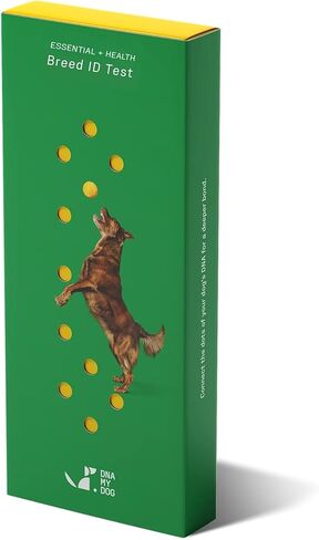 DNA MY DOG - طقم اختبار الحمض النووي الأساسي + الصحة للكلاب | تحديد السلالات لأكثر من 350 سلالة | 100+ ملف تعريف للصحة الوراثية والسمات | اختبار الحمض النووي للكلاب للسلالة والصفات والسلوك | النتائج في 2-3 أسابيع in Kuwait