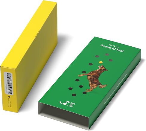 DNA MY DOG - طقم اختبار الحمض النووي الأساسي + الصحة للكلاب | تحديد السلالات لأكثر من 350 سلالة | 100+ ملف تعريف للصحة الوراثية والسمات | اختبار الحمض النووي للكلاب للسلالة والصفات والسلوك | النتائج في 2-3 أسابيع in Kuwait