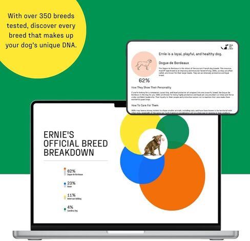DNA MY DOG - طقم اختبار الحمض النووي الأساسي + الصحة للكلاب | تحديد السلالات لأكثر من 350 سلالة | 100+ ملف تعريف للصحة الوراثية والسمات | اختبار الحمض النووي للكلاب للسلالة والصفات والسلوك | النتائج في 2-3 أسابيع in Kuwait