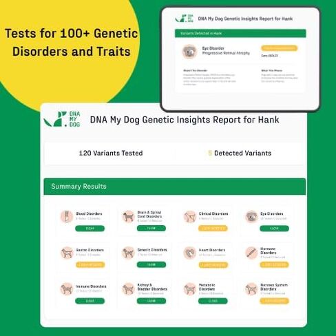 DNA MY DOG - طقم اختبار الحمض النووي الأساسي + الصحة للكلاب | تحديد السلالات لأكثر من 350 سلالة | 100+ ملف تعريف للصحة الوراثية والسمات | اختبار الحمض النووي للكلاب للسلالة والصفات والسلوك | النتائج في 2-3 أسابيع in Kuwait