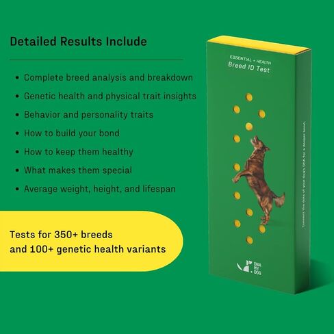 DNA MY DOG - طقم اختبار الحمض النووي الأساسي + الصحة للكلاب | تحديد السلالات لأكثر من 350 سلالة | 100+ ملف تعريف للصحة الوراثية والسمات | اختبار الحمض النووي للكلاب للسلالة والصفات والسلوك | النتائج في 2-3 أسابيع in Kuwait