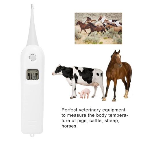 Gavigain Animal Electronic Ehermometer Fast Digital Veterinary Thermometer for Dogs, Cats, Horse,Cattle, Pigs in Kuwait