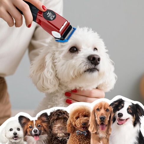 Mcbazel Dog Clippers Grooming Kit, Low Noise Rechargeable Cordless Adjustable Pet Hair Shaver Trimmers Set for Dogs, Cats and Other Pets [Red] in Kuwait