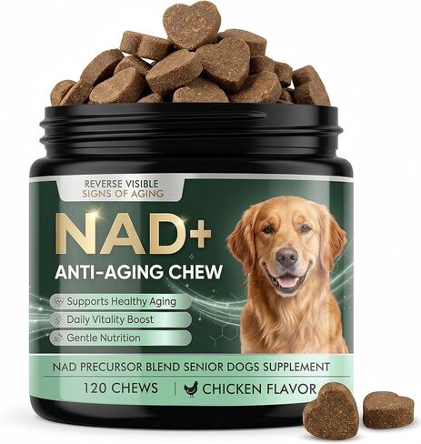 NAD+ Supplement for Precursor & Senior Dogs – Cellular Energy & Vitality Supplement – Advanced Formula for Healthy Aging & Cognitive Support – Non-GMO – 120 Soft Chews (Chicken Flavor) in Kuwait