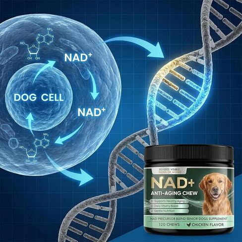 NAD+ Supplement for Precursor & Senior Dogs – Cellular Energy & Vitality Supplement – Advanced Formula for Healthy Aging & Cognitive Support – Non-GMO – 120 Soft Chews (Chicken Flavor) in Kuwait