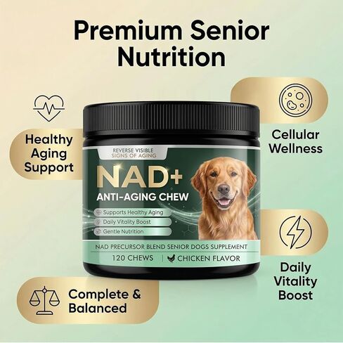 NAD+ Supplement for Precursor & Senior Dogs – Cellular Energy & Vitality Supplement – Advanced Formula for Healthy Aging & Cognitive Support – Non-GMO – 120 Soft Chews (Chicken Flavor) in Kuwait