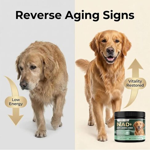 NAD+ Supplement for Precursor & Senior Dogs – Cellular Energy & Vitality Supplement – Advanced Formula for Healthy Aging & Cognitive Support – Non-GMO – 120 Soft Chews (Chicken Flavor) in Kuwait