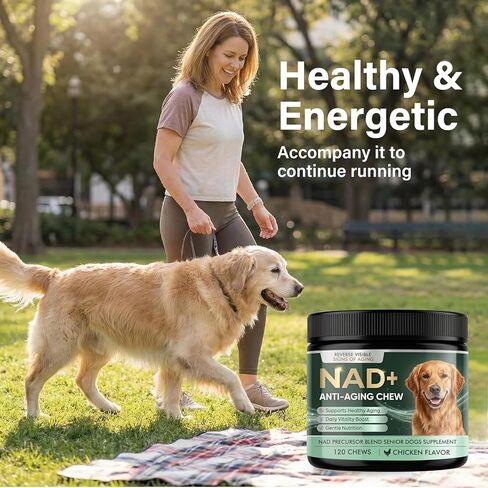 NAD+ Supplement for Precursor & Senior Dogs – Cellular Energy & Vitality Supplement – Advanced Formula for Healthy Aging & Cognitive Support – Non-GMO – 120 Soft Chews (Chicken Flavor) in Kuwait