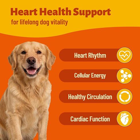 Dog Healthy Heart Supplements - Taurine for Dogs with CoQ10, L-Carnitine, Fish Oil, Vitamins - Supports Cardio & Cardiovascular Health, Antioxidant Support, 7.76 oz in Kuwait