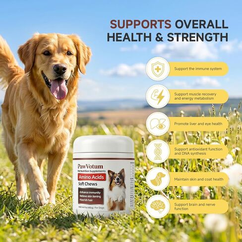 Amino Acids for Dogs,Dog Vitamins and Supplements, Support Immunity, Digestion, Skin & Coat, Muscle Health, Contains Lysine, DL-Methionine and Taurine in Kuwait