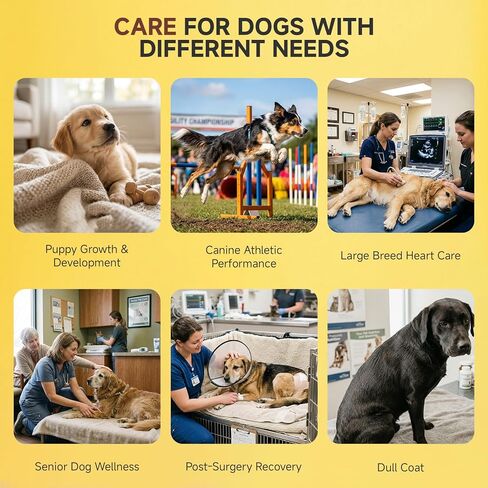 Amino Acids for Dogs,Dog Vitamins and Supplements, Support Immunity, Digestion, Skin & Coat, Muscle Health, Contains Lysine, DL-Methionine and Taurine in Kuwait