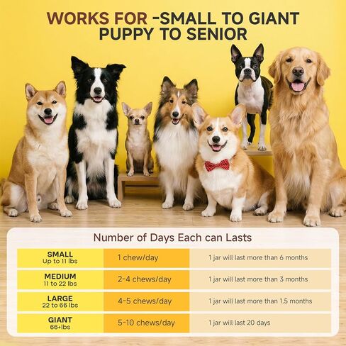 Amino Acids for Dogs,Dog Vitamins and Supplements, Support Immunity, Digestion, Skin & Coat, Muscle Health, Contains Lysine, DL-Methionine and Taurine in Kuwait