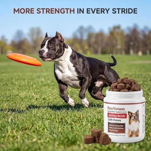 Amino Acids for Dogs,Dog Vitamins and Supplements, Support Immunity, Digestion, Skin & Coat, Muscle Health, Contains Lysine, DL-Methionine and Taurine in Kuwait