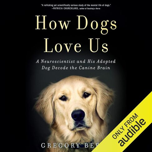 How Dogs Love Us: A Neuroscientist and His Adopted Dog Decode the Canine Brain in Kuwait