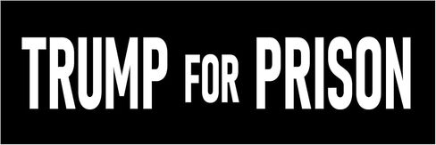 Trump for Prison Sticker 2x6 Anti Donald Trump Stickers in Kuwait