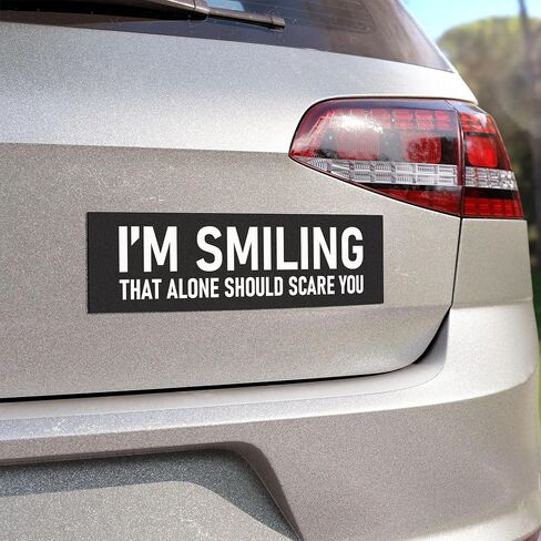 I'm Smiling that Alone Should Scare You Sticker Large 3x9 Funny Bumper Stickers in Kuwait