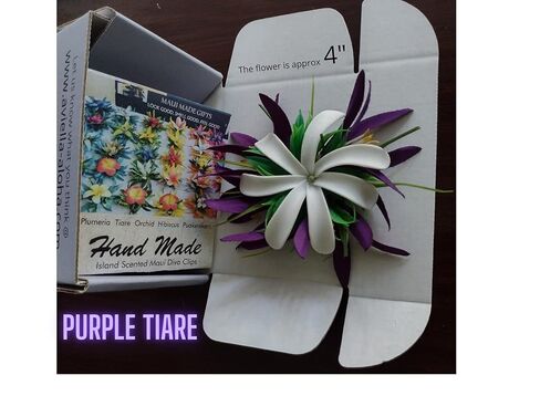 White Tahitian Tiare Tropical Aloha Flower Hair Clip for Women Luau Hula Costume Beach Tiki Party Hair Accessory in Kuwait