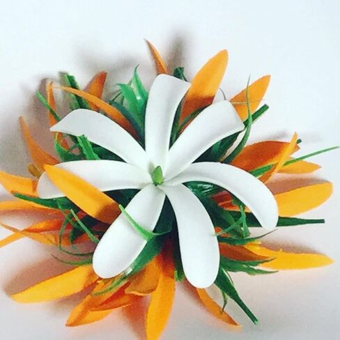 White Tahitian Tiare Tropical Aloha Flower Hair Clip for Women Luau Hula Costume Beach Tiki Party Hair Accessory in Kuwait