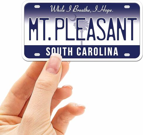 South Carolina License Plate Stickers, Choose Your SC Bumper Sticker for Car - Southern Decal for Hydroflask Water Bottle (Congaree) in Kuwait