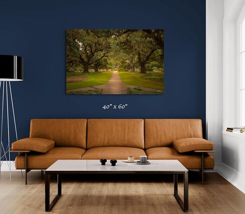 Live Oaks مع طباعة فوتوغرافية للطحالب الإسبانية. عيش أوك ألي في حدائق بروكجرين. in Kuwait