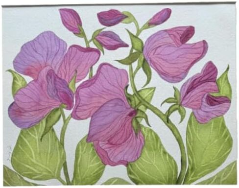 Painting Watercolor Original Artwork Flowers Sweet Pea Violet Purple Maroon Green Blue 11x14 White Mat 16x20 Hand Painted Wall Art Home Decor in Kuwait