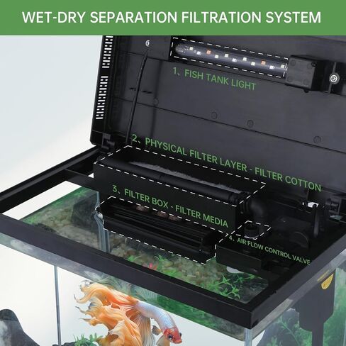 FS&AQ 3 Gallon Fish Tank with Filter and Light No-Install Small Aquarium Starter Kit in Kuwait