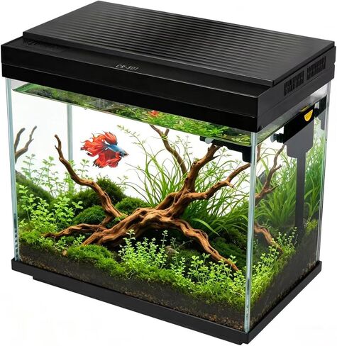 FS&AQ 3 Gallon Fish Tank with Filter and Light No-Install Small Aquarium Starter Kit in Kuwait