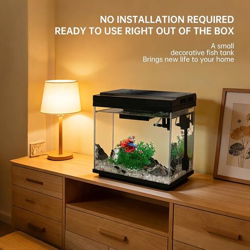FS&AQ 3 Gallon Fish Tank with Filter and Light No-Install Small Aquarium Starter Kit in Kuwait