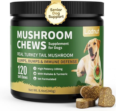 Turkey Tail Mushroom for Dogs,Senior Dog Supplement for Lumps, Bumps & Lipoma,Soft Chews with Reishi, Maitake, Turmeric & Astragalus,Supports Immune Health,Natural Chicken Flavor, 120 Count in Kuwait