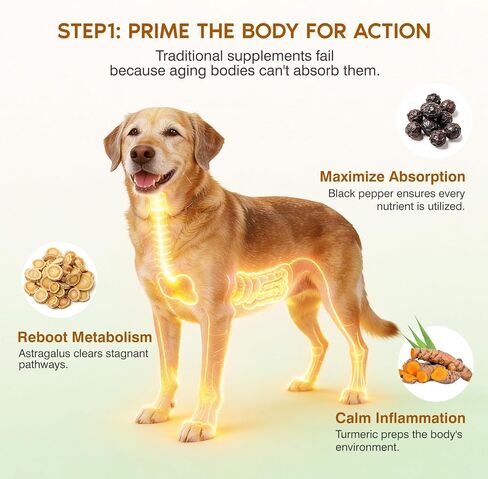 Turkey Tail Mushroom for Dogs,Senior Dog Supplement for Lumps, Bumps & Lipoma,Soft Chews with Reishi, Maitake, Turmeric & Astragalus,Supports Immune Health,Natural Chicken Flavor, 120 Count in Kuwait