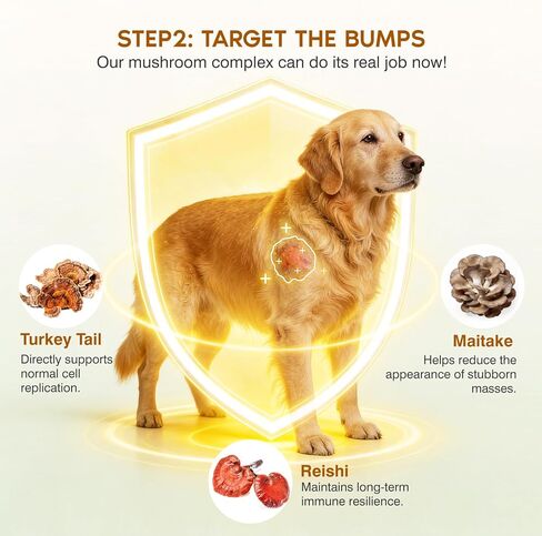 Turkey Tail Mushroom for Dogs,Senior Dog Supplement for Lumps, Bumps & Lipoma,Soft Chews with Reishi, Maitake, Turmeric & Astragalus,Supports Immune Health,Natural Chicken Flavor, 120 Count in Kuwait