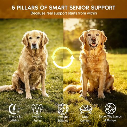 Turkey Tail Mushroom for Dogs,Senior Dog Supplement for Lumps, Bumps & Lipoma,Soft Chews with Reishi, Maitake, Turmeric & Astragalus,Supports Immune Health,Natural Chicken Flavor, 120 Count in Kuwait