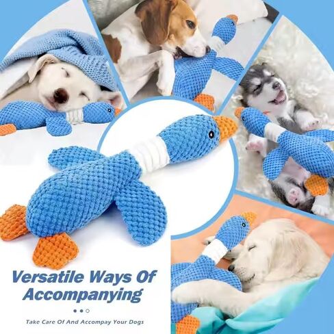 Squeaky Duck Dog Toy with Crinkle Wings, Durable Plush Chew Toy for Aggressive Chewers, Super Fun Pet Toy for Large and Small Dogs, Keeps Them Busy, Blue in Kuwait