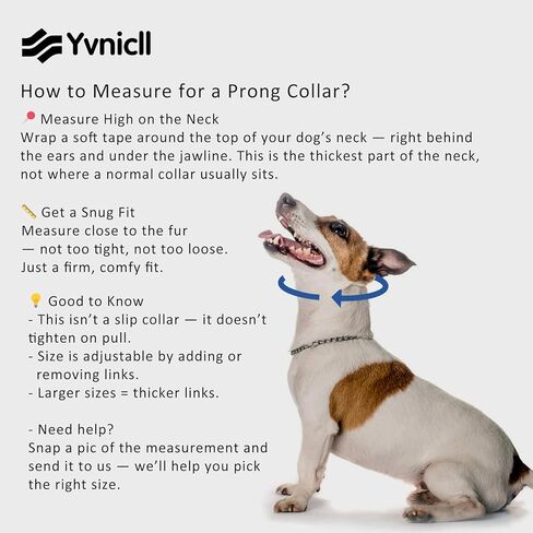 Pinch Collar for Dogs,Adjustable Dog Training Collar for Small Medium Large Dogs with Quick Release Buckle, No Pull Dog Collar Prong(S,10"-13") in Kuwait
