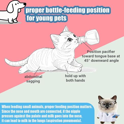 Newborn Pet Feeding Kit, Kitten Bottle Feeding Set with Nursing Nipples, Portable Storage, Emergency Ready, Replaceable Accessories for Kittens Puppies in Kuwait