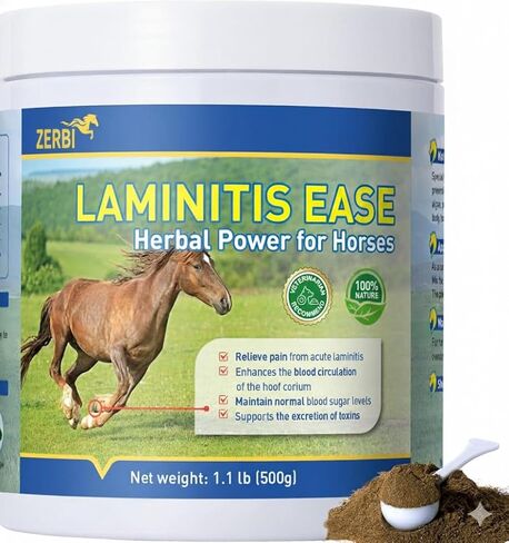 Horse Laminitis Treatment -Natural Herbal Powder Hoof Supplements for Horses with Laminitis, Ideal for Hoof Care & Sore Feet, Back to Pasture-1.1 lb in Kuwait