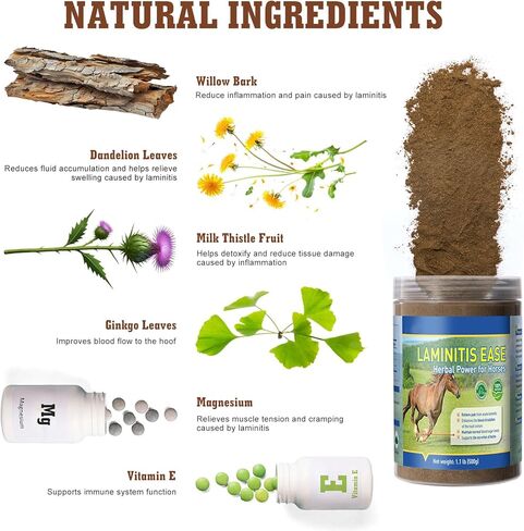 Horse Laminitis Treatment -Natural Herbal Powder Hoof Supplements for Horses with Laminitis, Ideal for Hoof Care & Sore Feet, Back to Pasture-1.1 lb in Kuwait